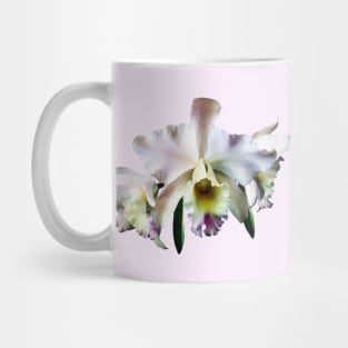 White Cattleya Orchids Mug